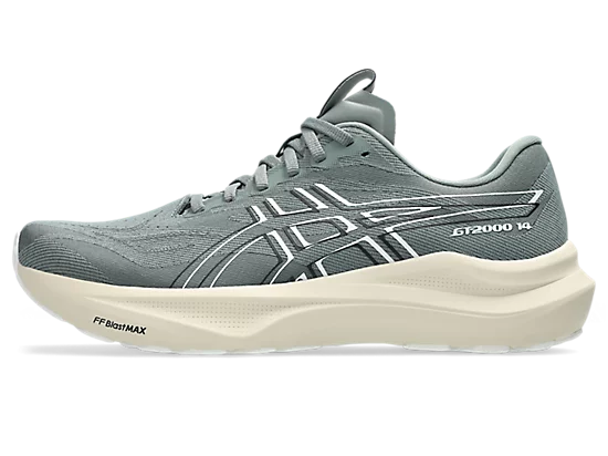 Asics Gt-2000 14